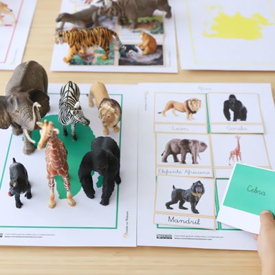 En Montessori, los animales son maestros silenciosos que nos conectan con tres principios fundamentales: