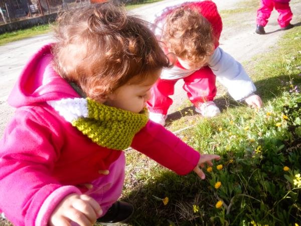 🌿👶 Beneficios del contacto con la naturaleza en niños de 0 a 3 años 👶🌿 En los primeros años de vida, cada experiencia deja una huella profunda… y la naturaleza es uno de los mejores entornos de aprendizaje 💚 El contacto diario con el exterior aporta múltiples beneficios: 🌱 Estimula los sentidos de forma natural 🌼 Favorece la calma y la regulación emocional 🤲 Desarrolla la motricidad a través del movimiento libre 🧠 Potencia la curiosidad y el descubrimiento espontáneo 🌍 Crea un vínculo temprano con el cuidado del entorno No hacen falta grandes planes, solo tiempo, libertad y naturaleza alrededor 🌤️ Un paseo, tocar la hierba o escuchar los pájaros… también es aprender ✨ #PrimeraInfancia #Naturaleza #Montessori0a3 #CrianzaRespetuosa #AprenderEnLaNaturaleza
