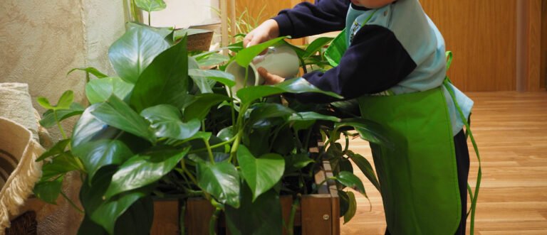 🌿☀️ Rutinas Montessori al aire libre ☀️🌿 El exterior es un aula llena de vida, movimiento y aprendizaje real 🌱 En Montessori, las rutinas al aire libre ofrecen a los niños estructura dentro de la libertad, conectándolos con la naturaleza de forma cotidiana: 🌼 Saludo y círculo de inicio bajo el cielo abierto 🚶‍♀️ Caminata sobre la línea o recorrido consciente 🌿 Cuidado del huerto o plantas del entorno 💧 Tareas de vida práctica como regar o recoger elementos naturales 🪶 Momentos de observación y silencio en la naturaleza Estas experiencias no solo organizan el día… también calman, centran y fortalecen la autonomía del niño 💛 Aprender fuera del aula es aprender con todo el cuerpo y todos los sentidos 🌍✨ #Montessori #EducaciónAlAireLibre #VidaPráctica #Naturaleza #PrimeraInfancia