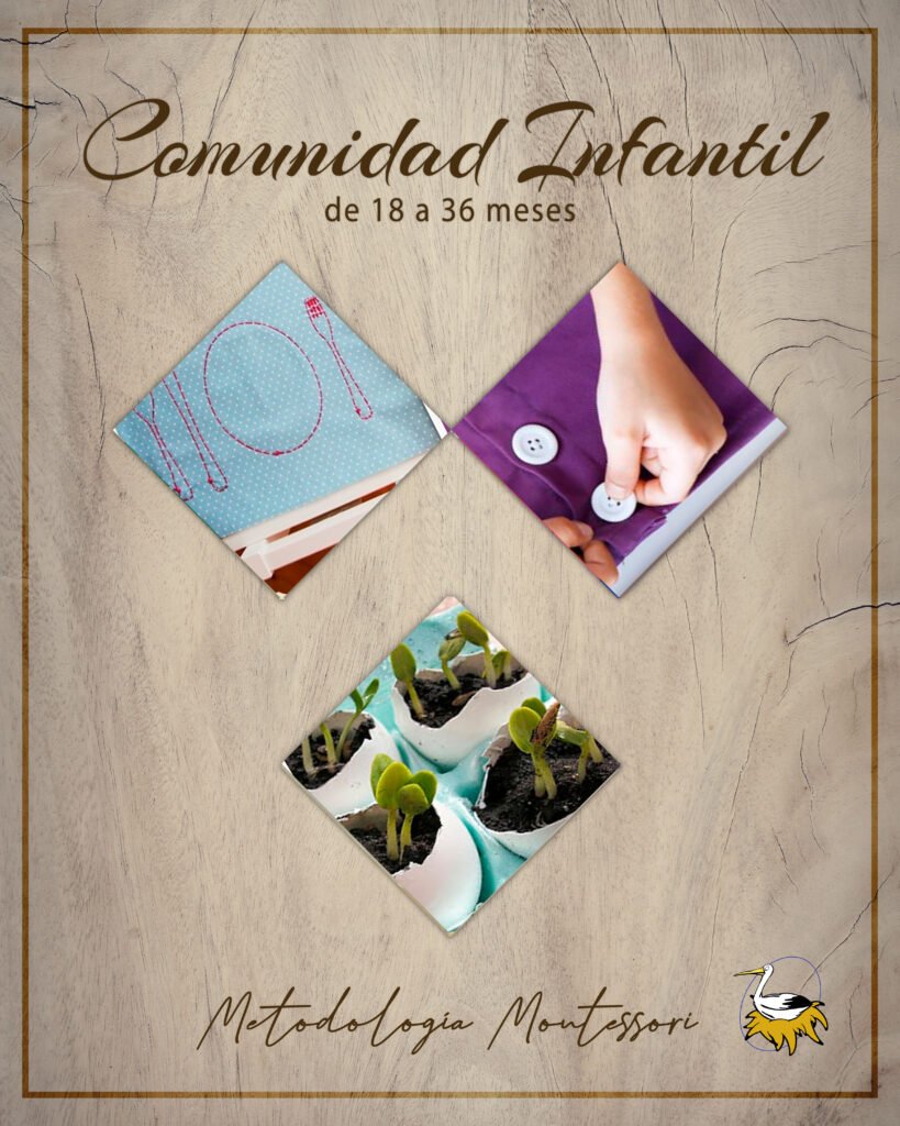 casa nido comunidad infantil