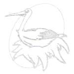 Logo Transparente